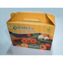 Cereal Packing Box/Vegetable Box